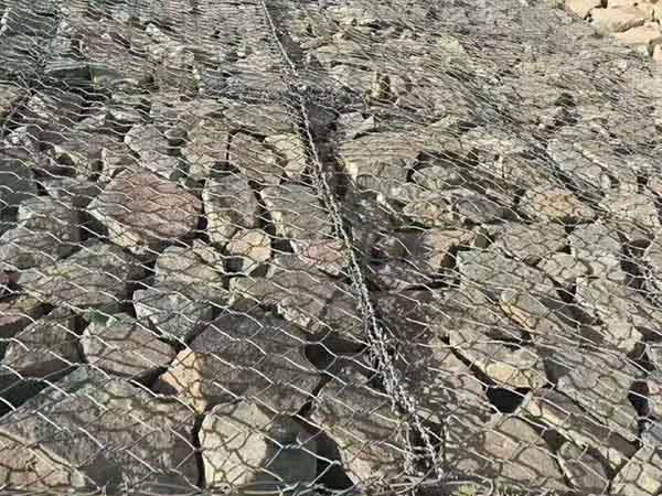 雷諾護(hù)墊圖片4